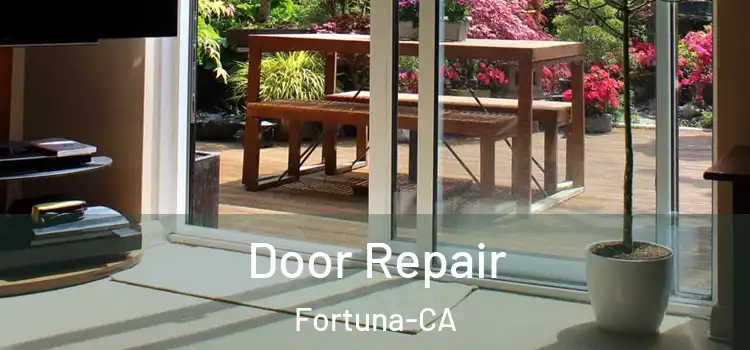  Door Repair Fortuna-CA