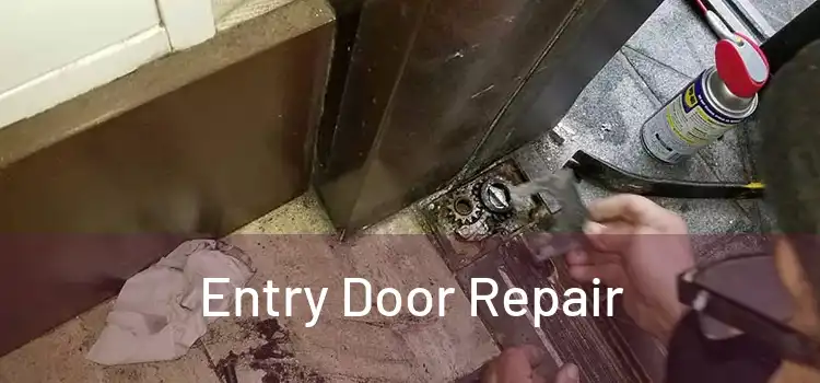 Entry Door Repair