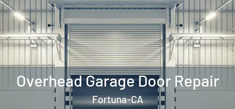 Overhead Garage Door Repair Fortuna-CA