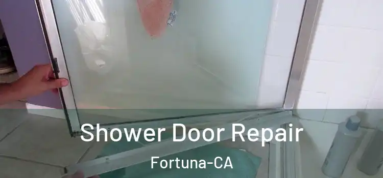 Shower Door Repair Fortuna-CA