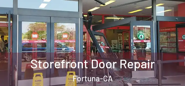 Storefront Door Repair Fortuna-CA